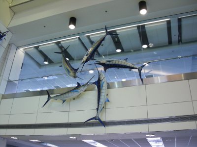 Fish wheels 2